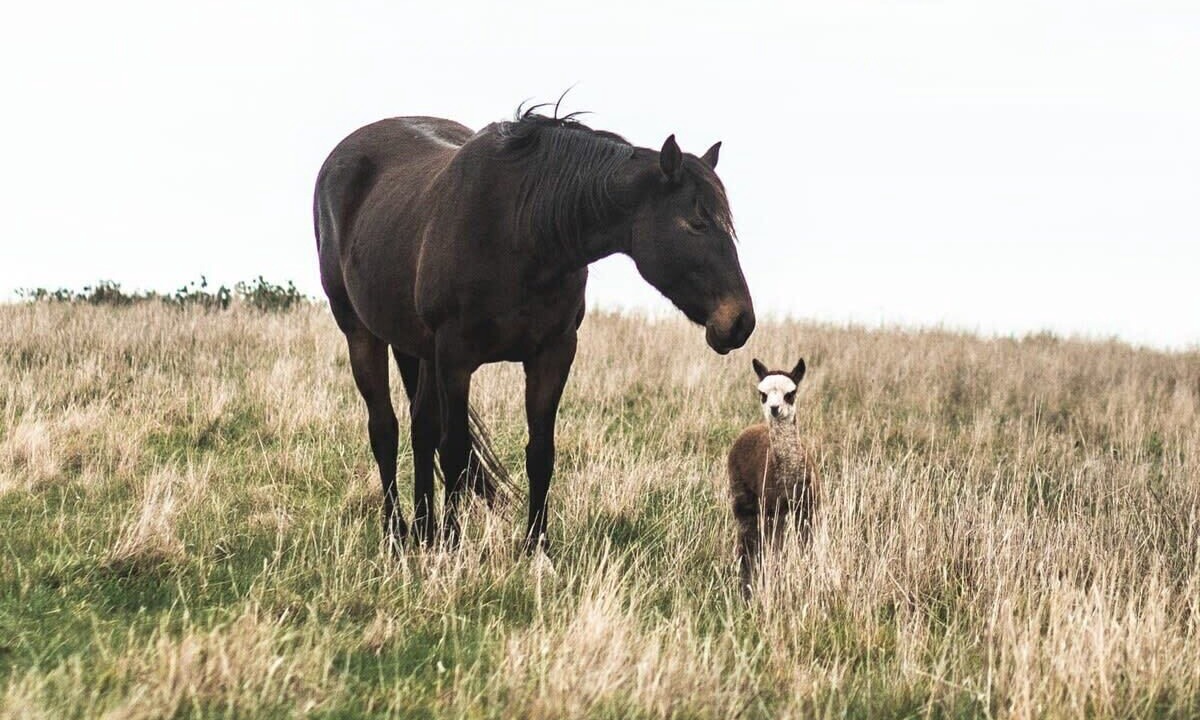 Photo of Outdoor in Heathcote