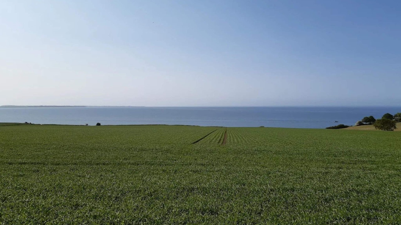 Photo of Others in Assens