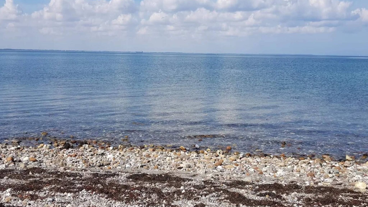 Photo of Others in Martofte