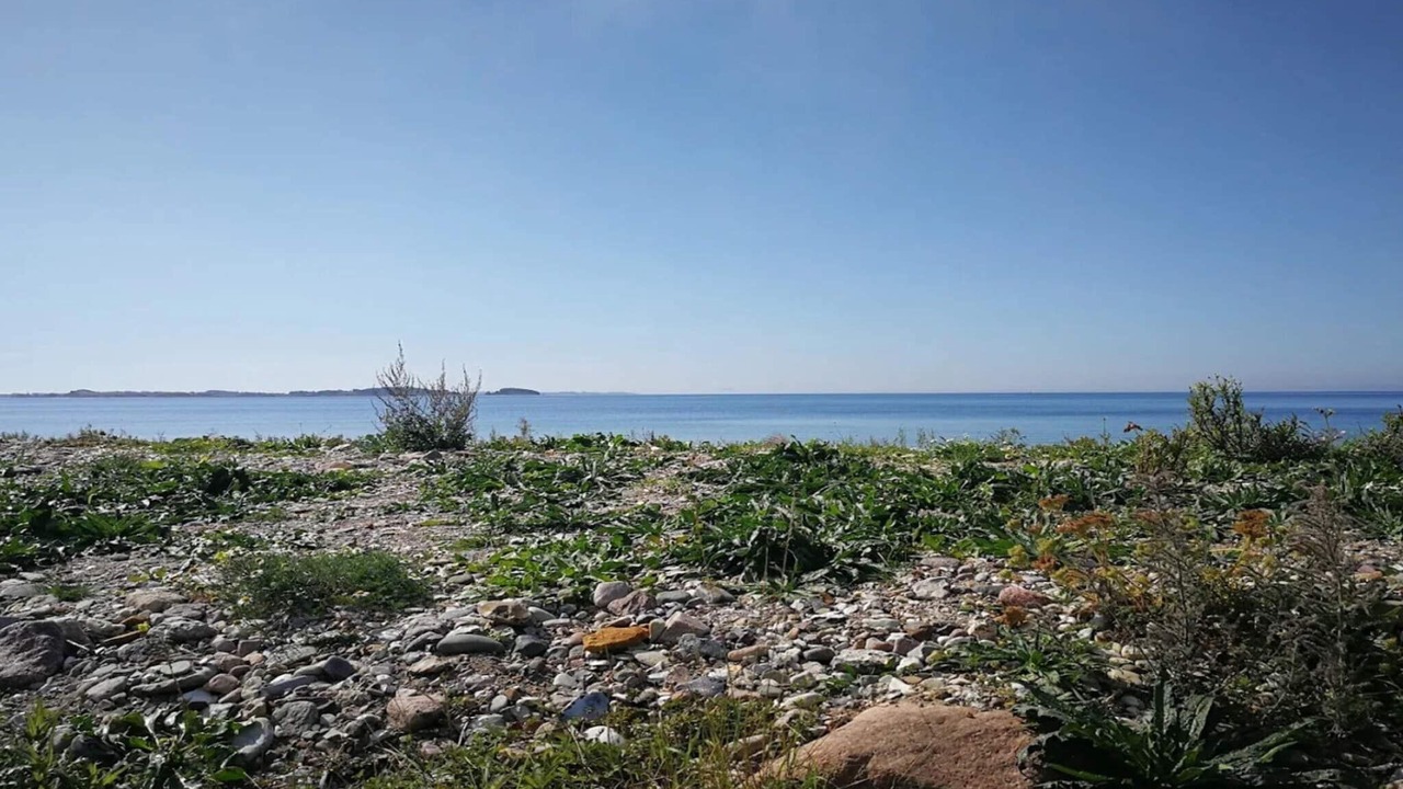 Photo of Others in Martofte