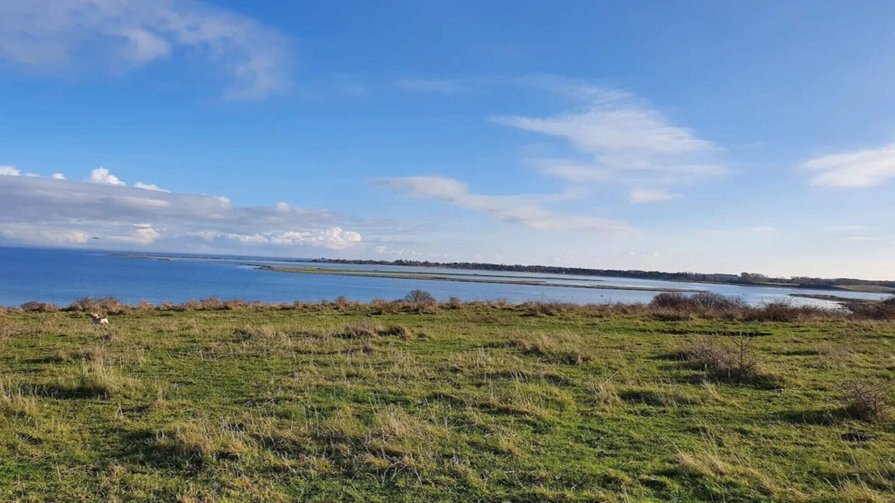 Photo of Others in Martofte