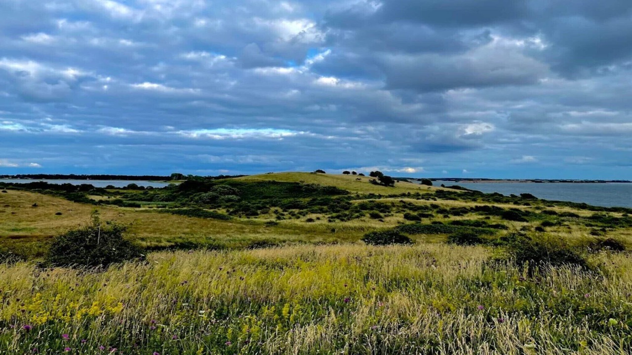 Photo of Others in Martofte