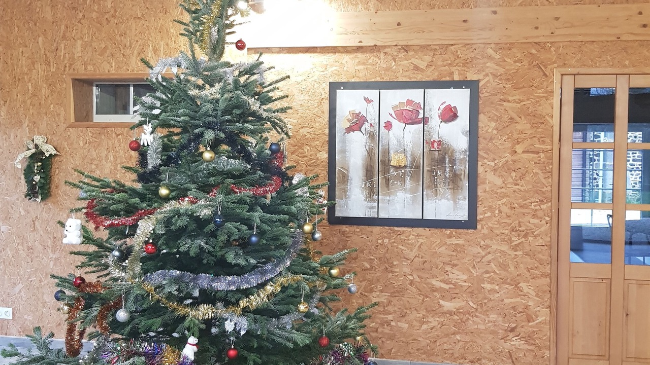 Photo of Others in Javene