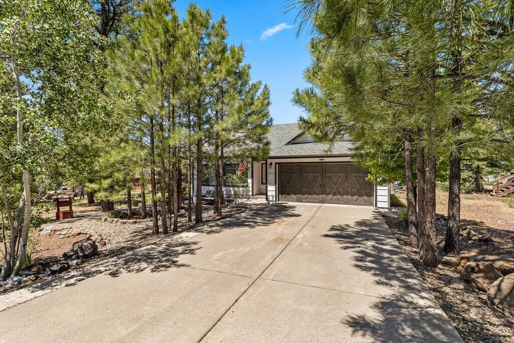 Photo of Outdoor in Munds Park