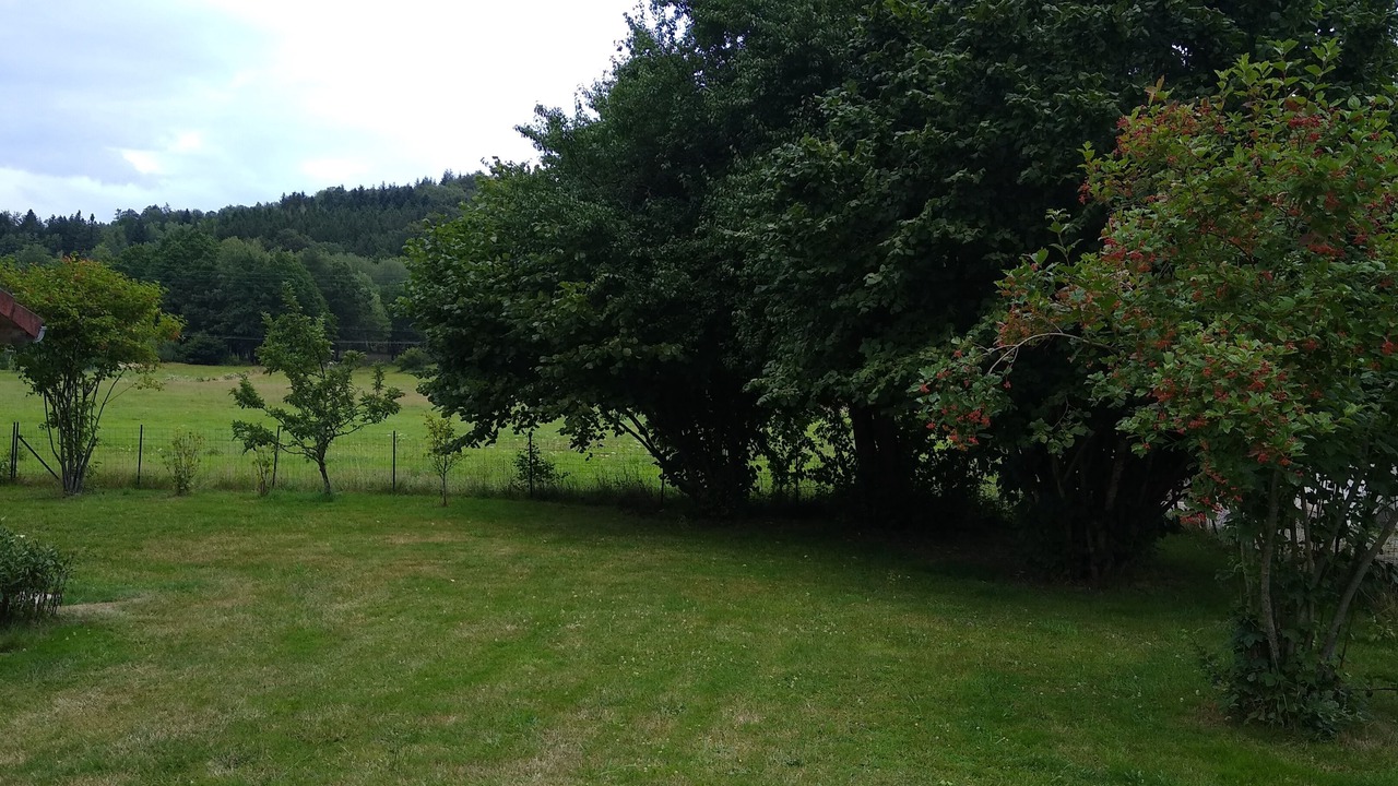 Photo of Outdoor in Tendon