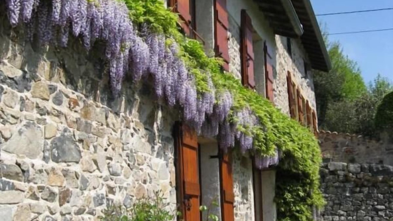 Photo of Outdoor in Chenelette