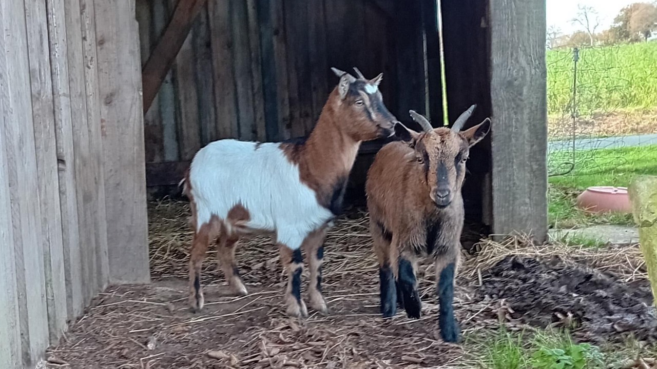 Photo of Others in Ploumilliau