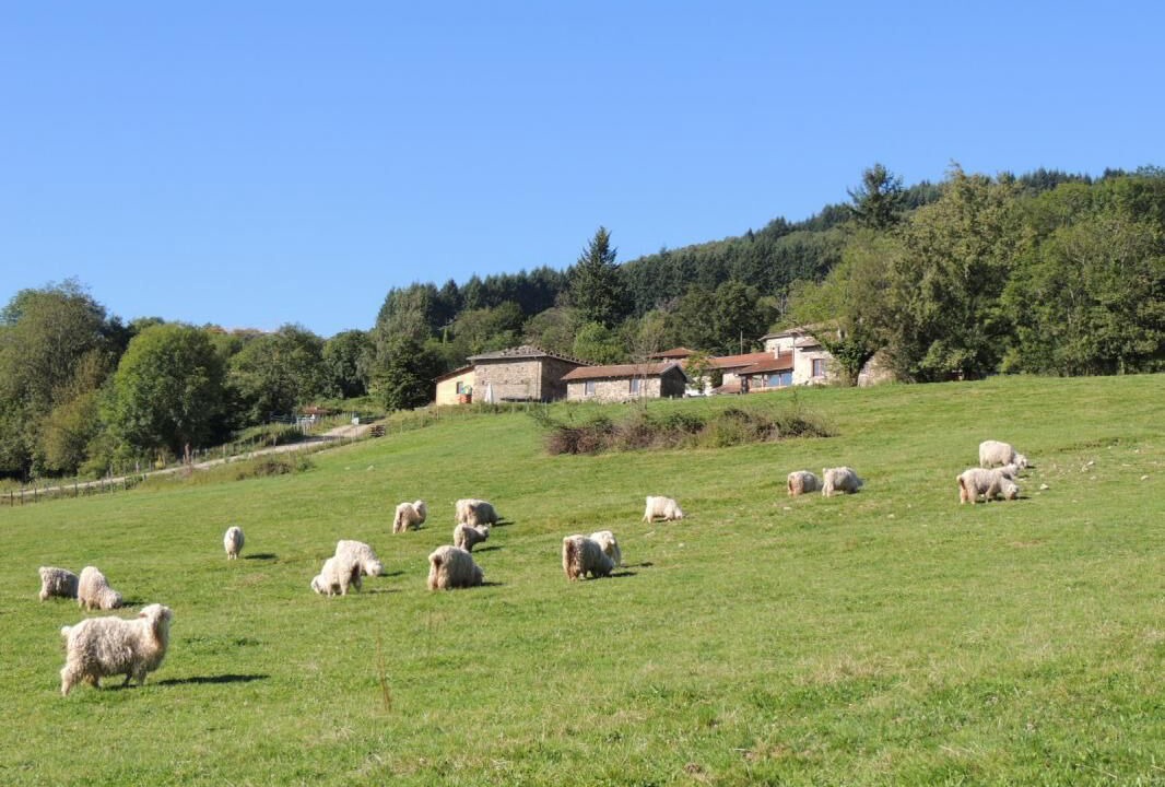 Photo of Outdoor in Vernay