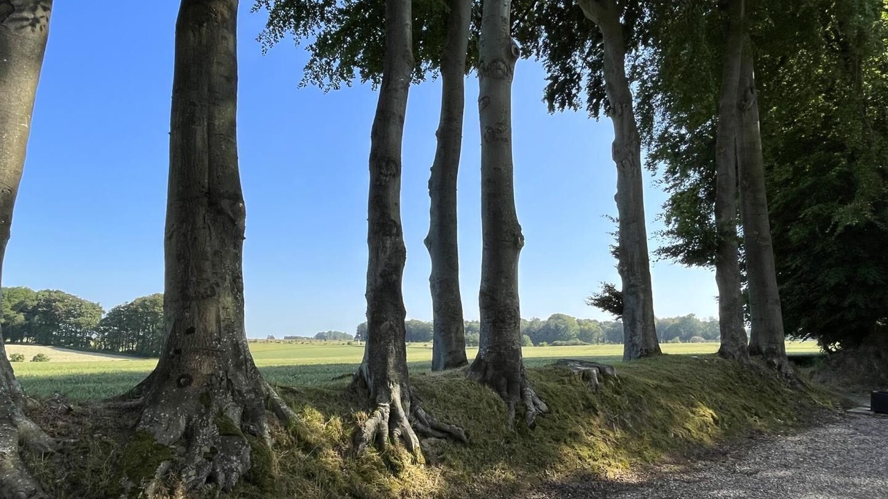 Photo of Others in Daubeuf-Serville