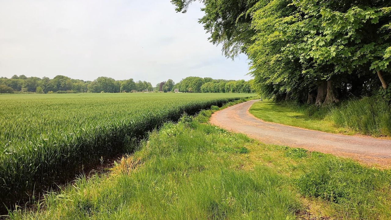 Photo of Outdoor in Daubeuf-Serville