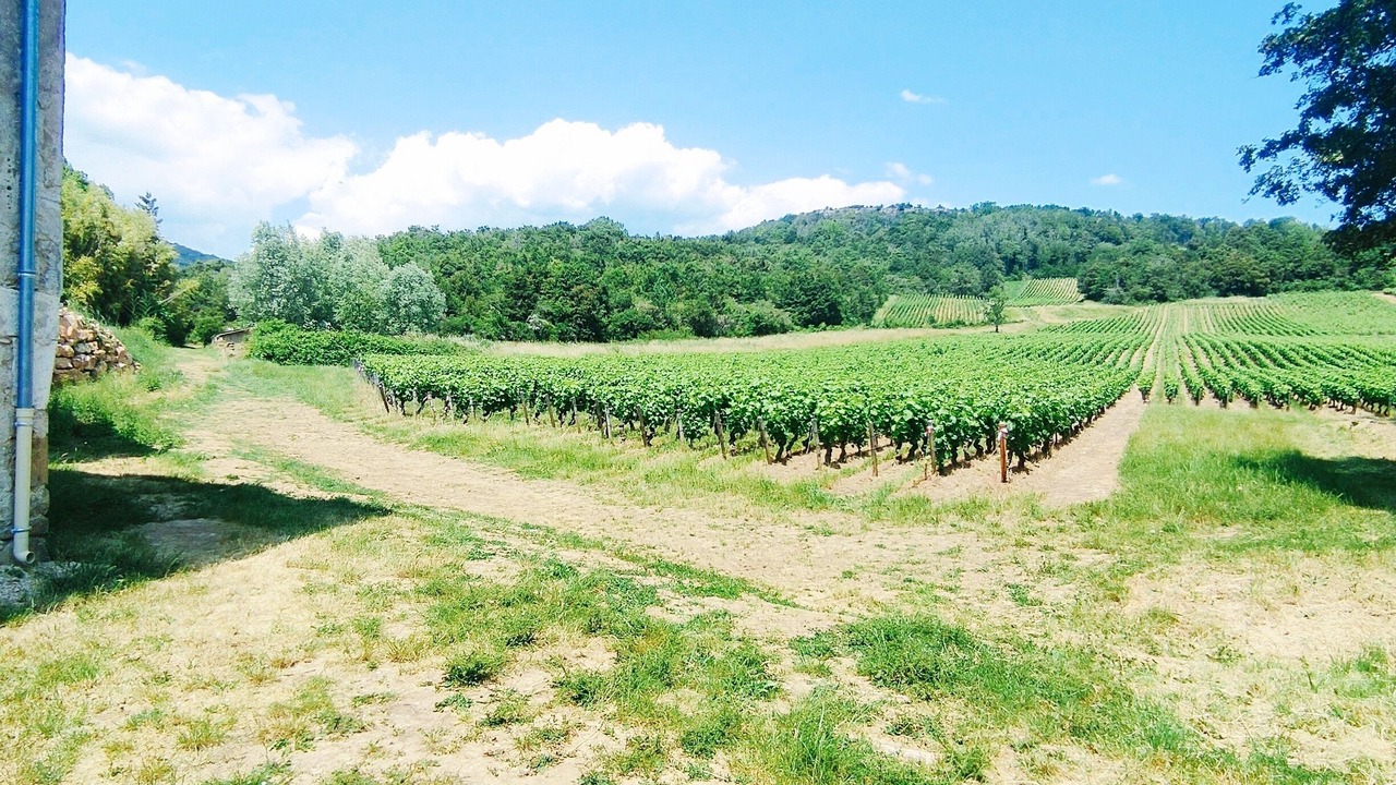 Photo of Outdoor in Saint-Jean-de-Vaux