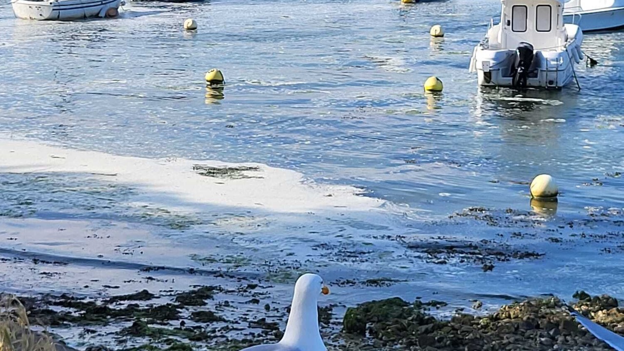 Photo of Others in Le Croisic