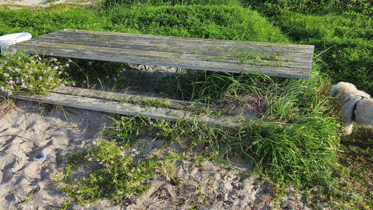 Photo of Outdoor in Nordost