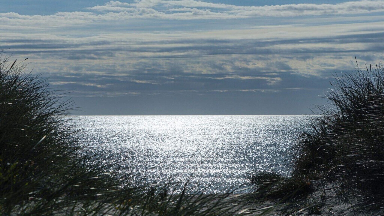 Photo of Others in Nordost