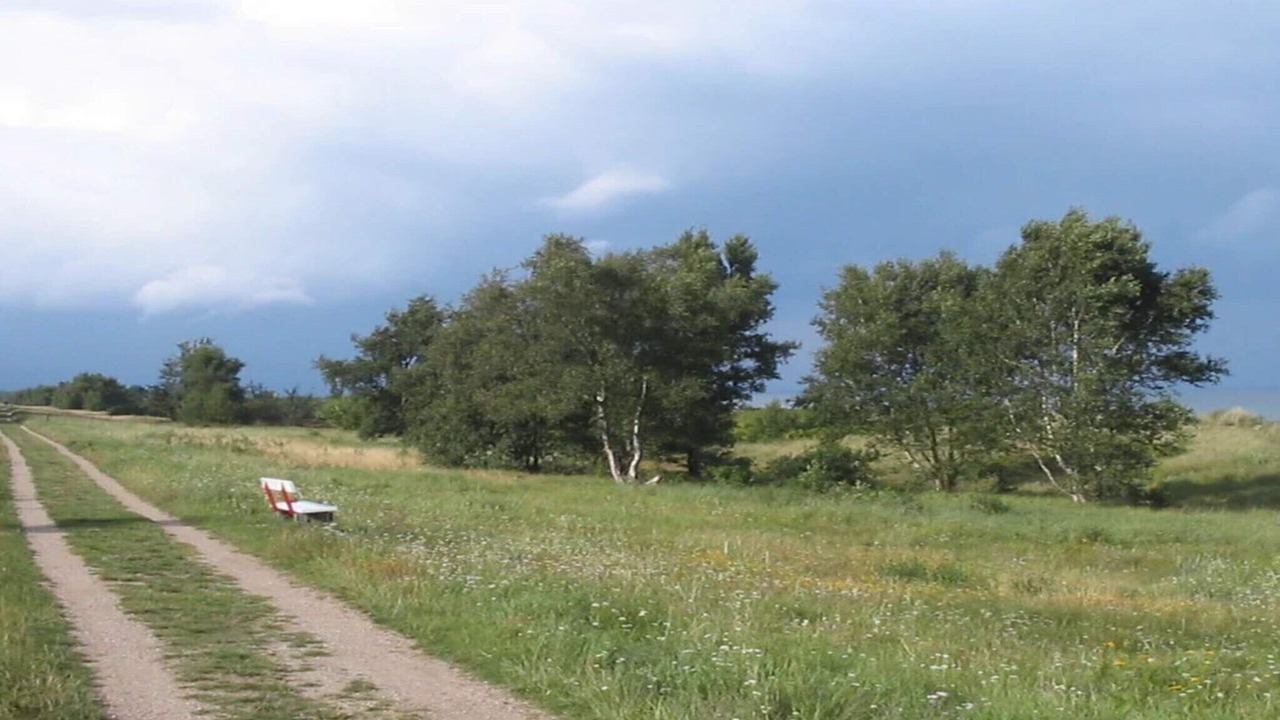 Photo of Others in Marielyst