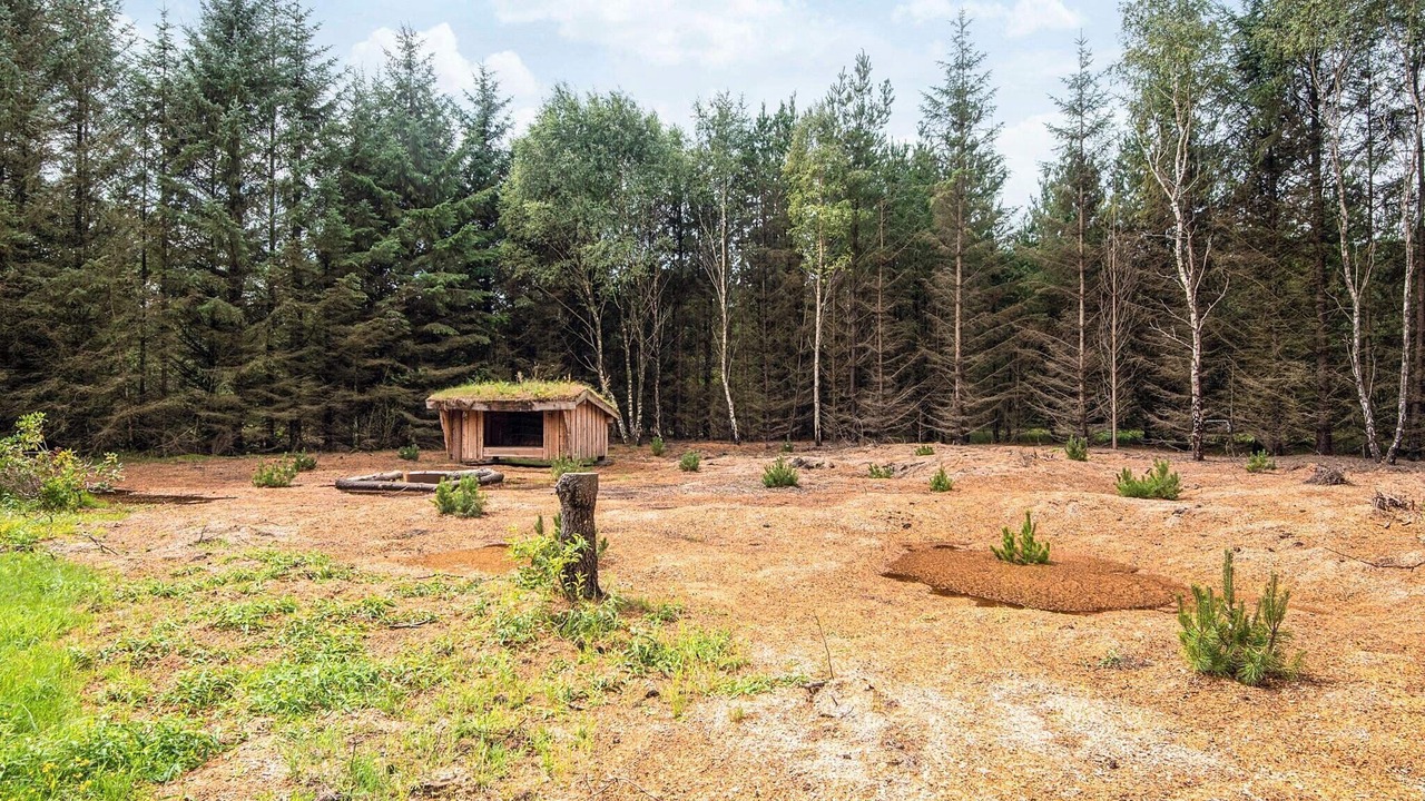 Photo of Outdoor in Houstrup