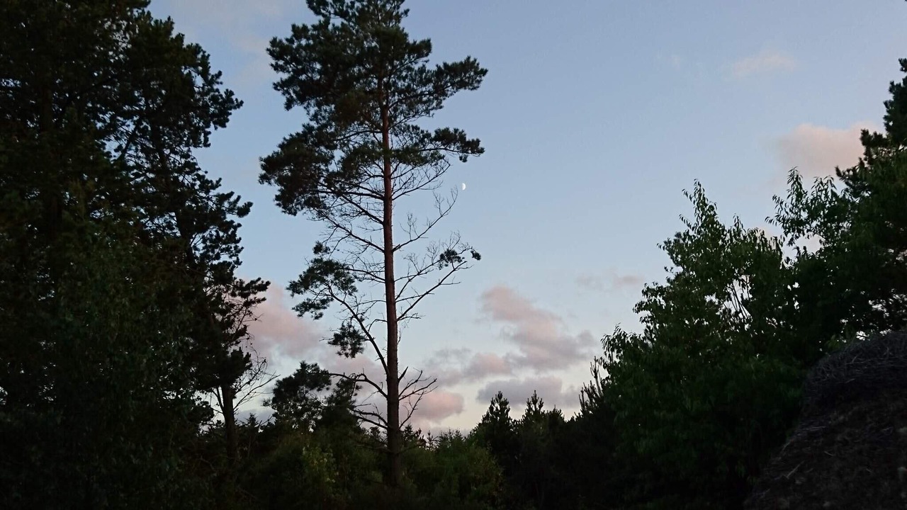 Photo of Others in Houstrup