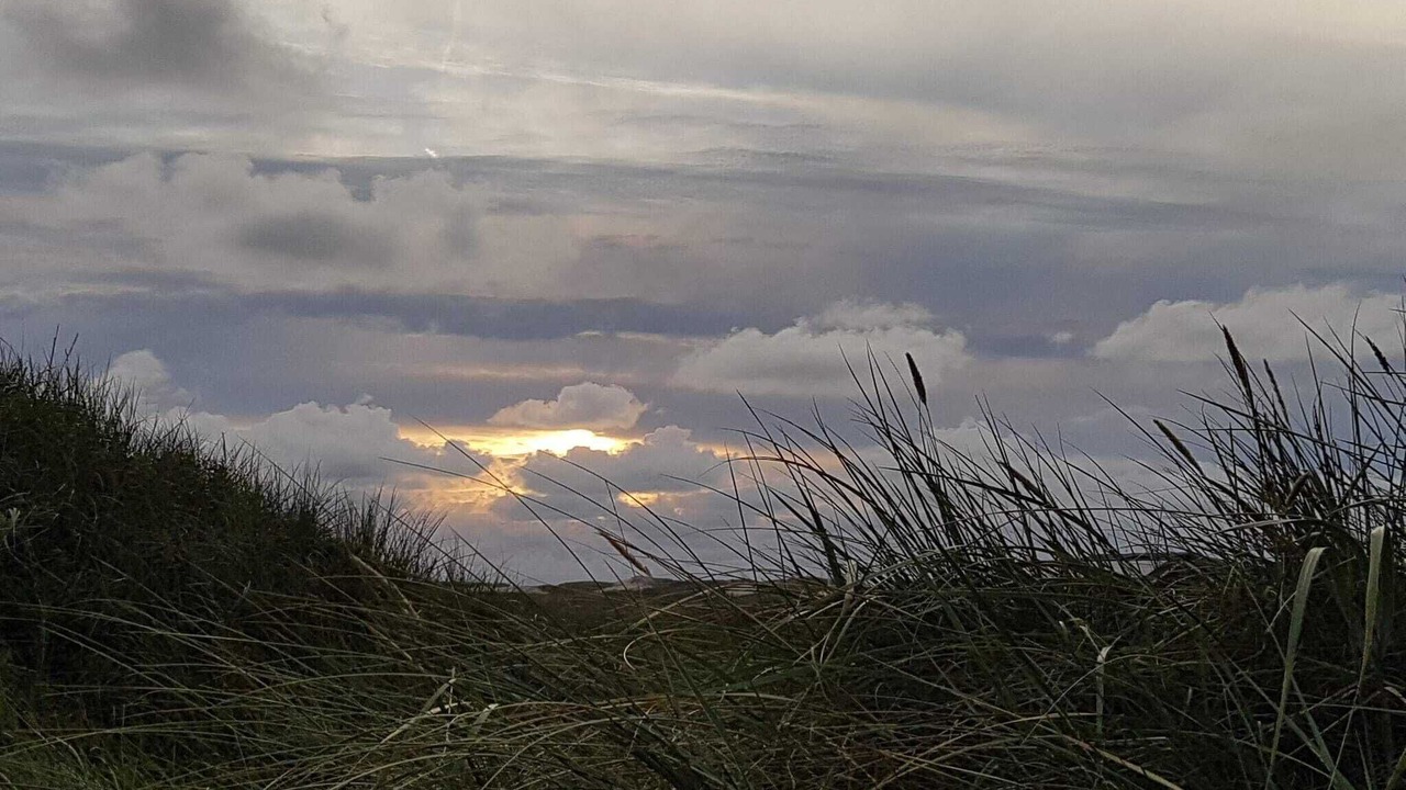 Photo of Others in Lodbjerg Hede