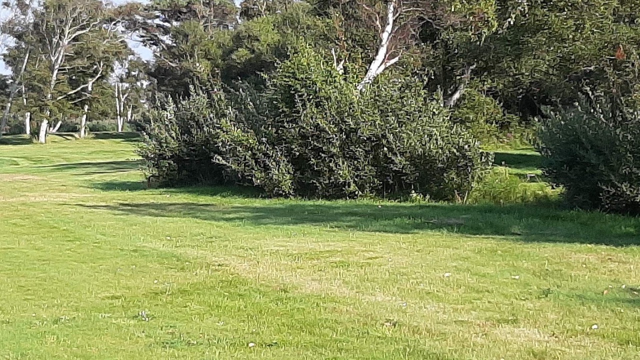 Photo of Others in Læsø