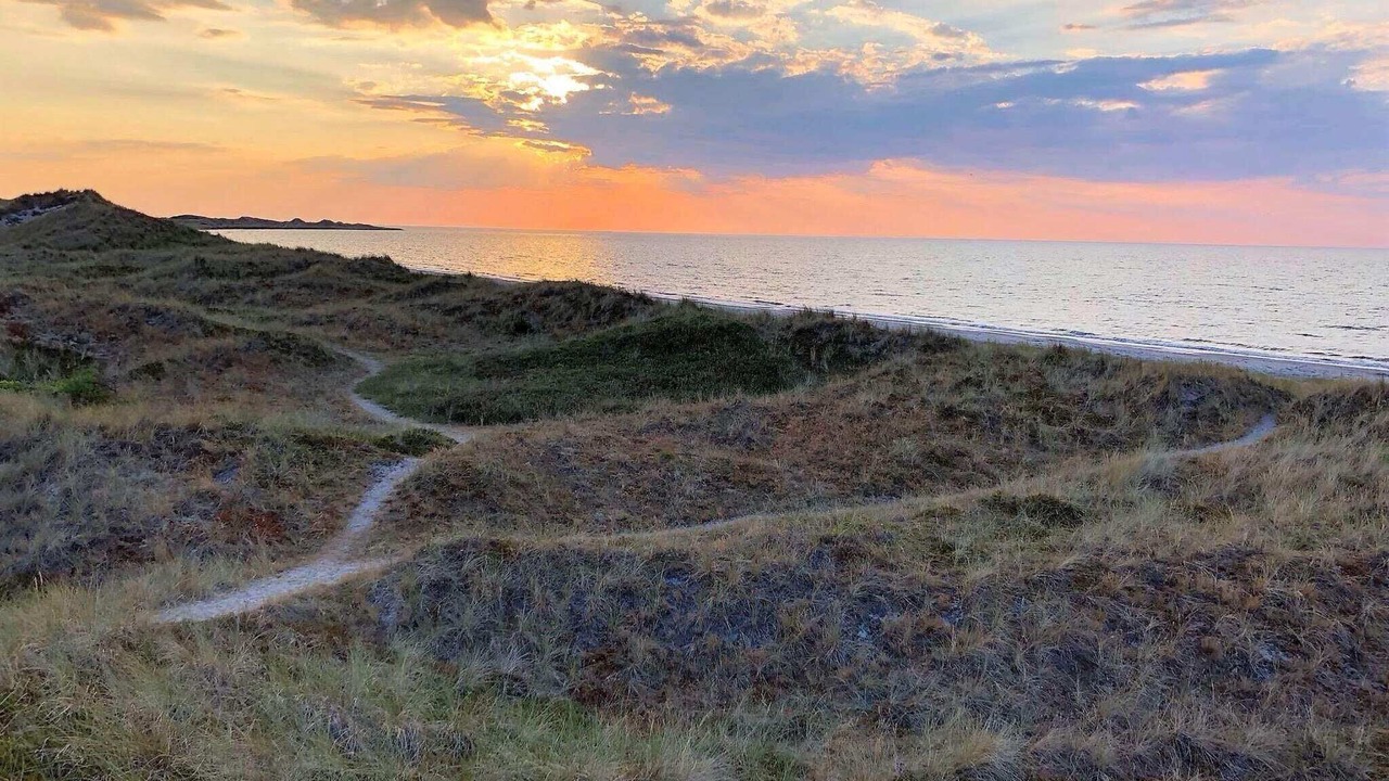 Photo of Others in Læsø