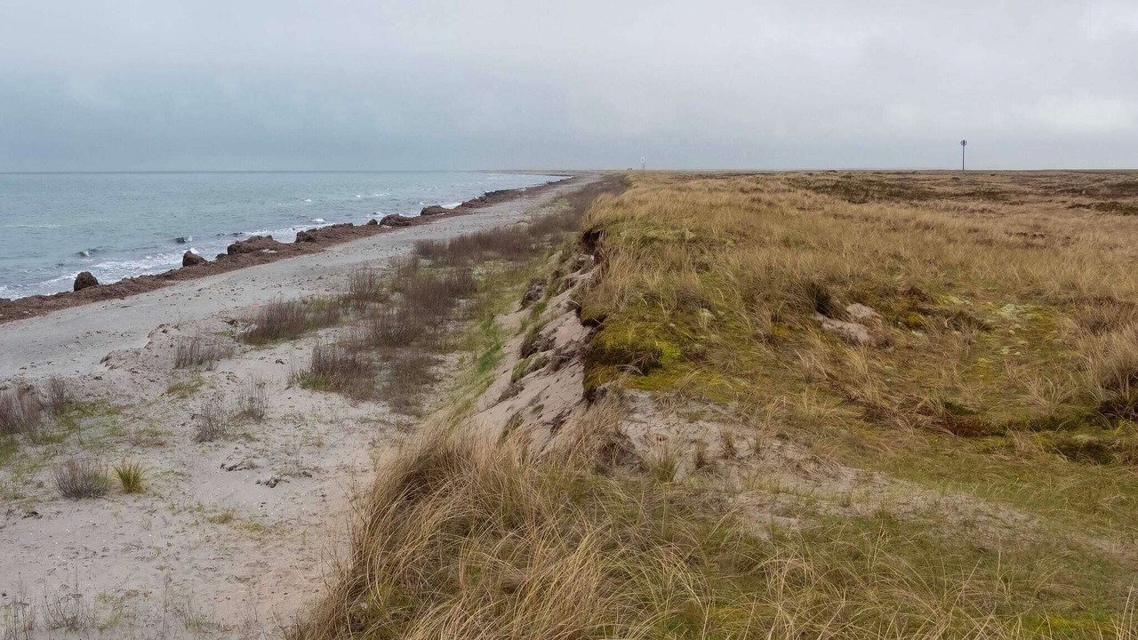 Photo of Others in Læsø