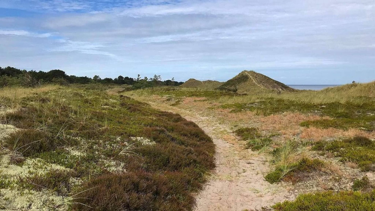 Photo of Others in Læsø