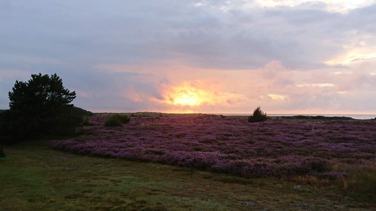 Photo of Others in Læsø