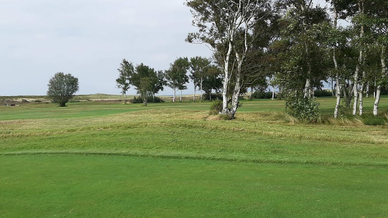 Photo of Others in Læsø