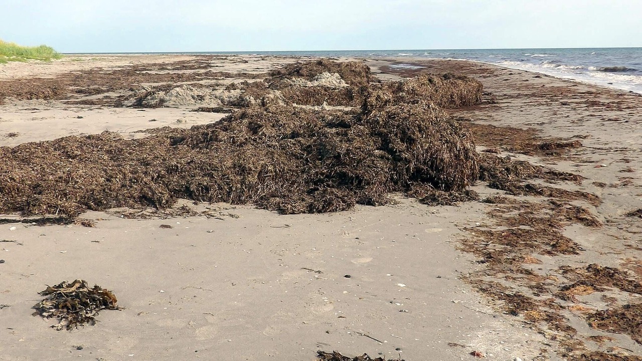 Photo of Others in Læsø