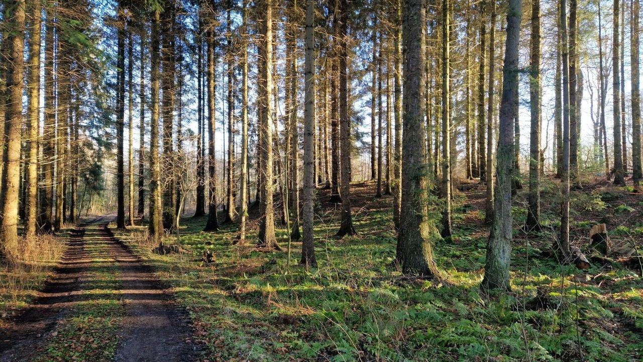 Photo of Others in Bjert