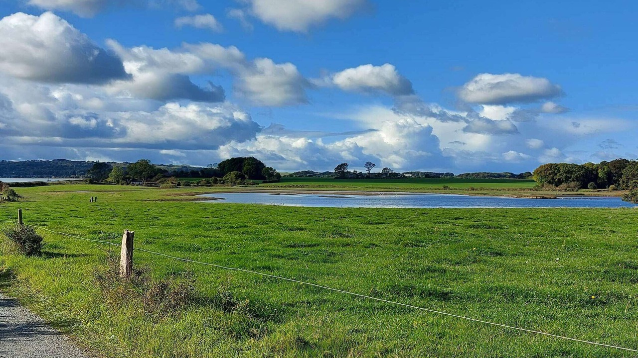 Photo of Others in Bjert