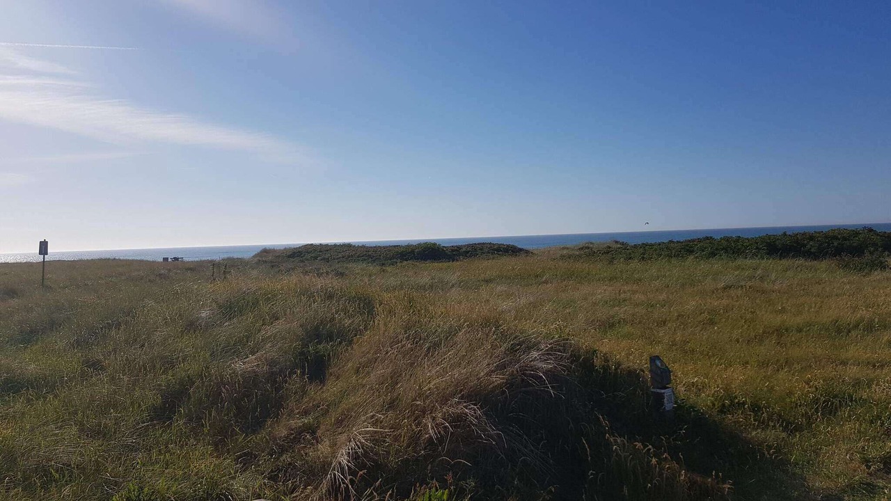 Photo of Others in Skallerup Klit
