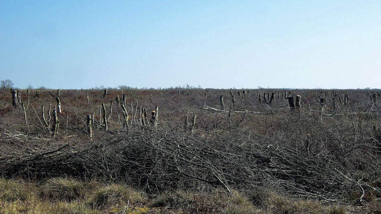 Photo of Others in Egense