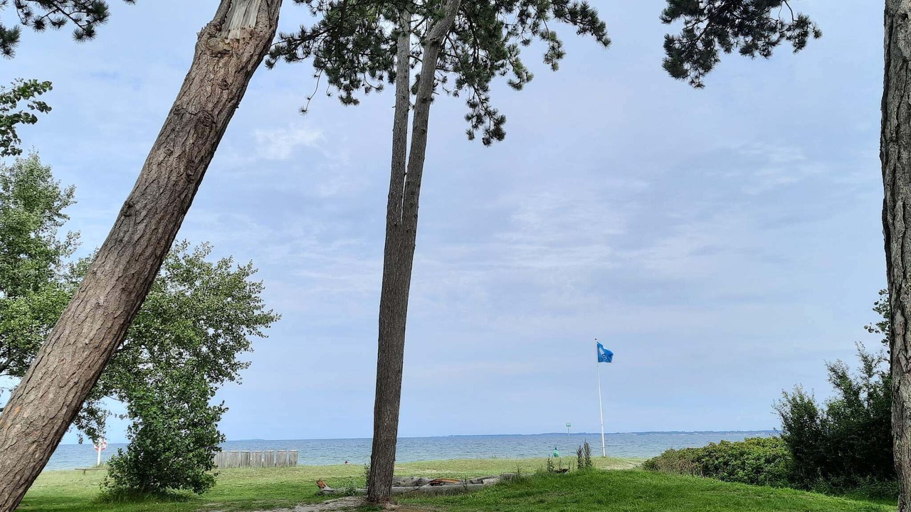 Photo of Others in Vejlby Fed