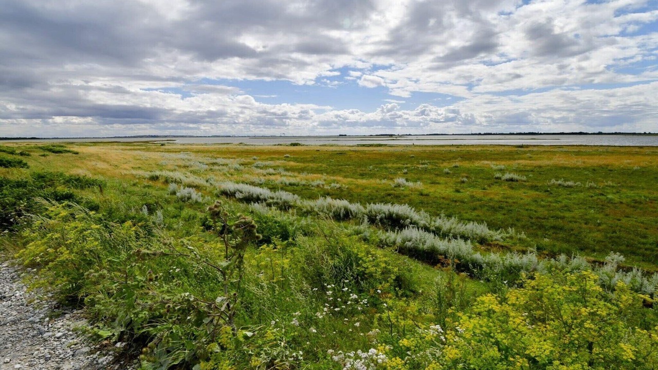 Photo of Others in Hasmark Strand