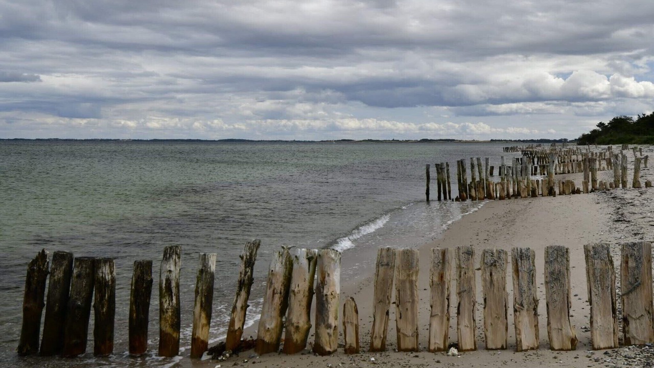 Photo of Others in Hasmark Strand
