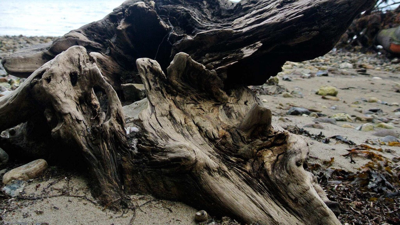 Photo of Others in Hejlsminde Strand