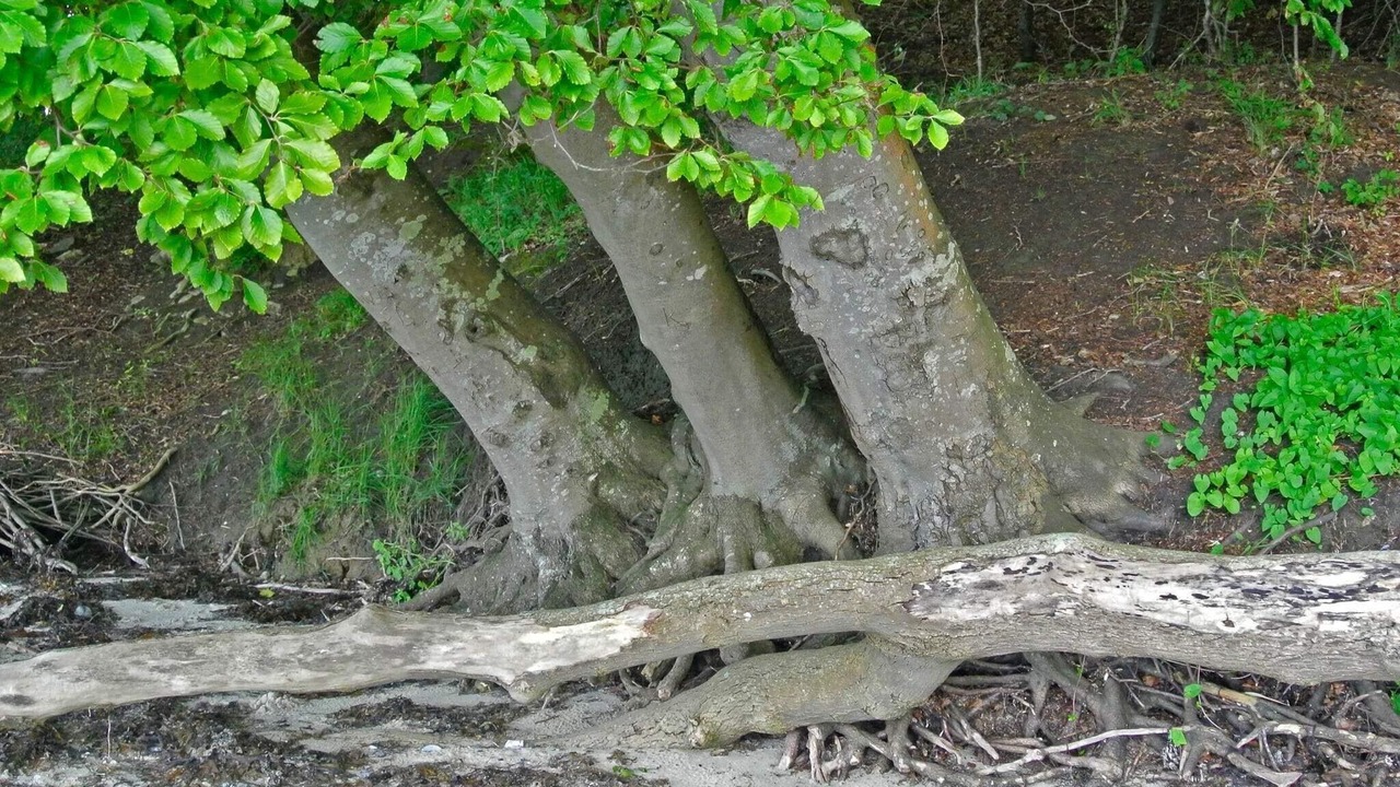 Photo of Outdoor in Hejlsminde Strand