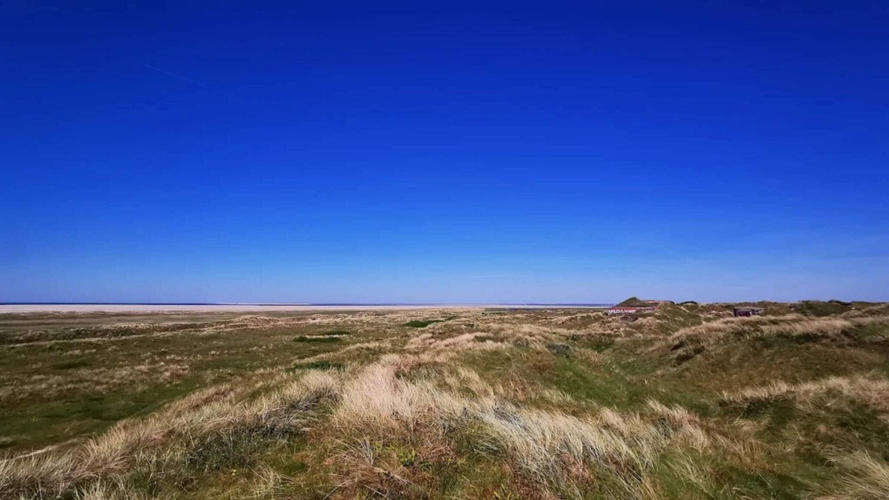 Photo of Others in Rindby Strand