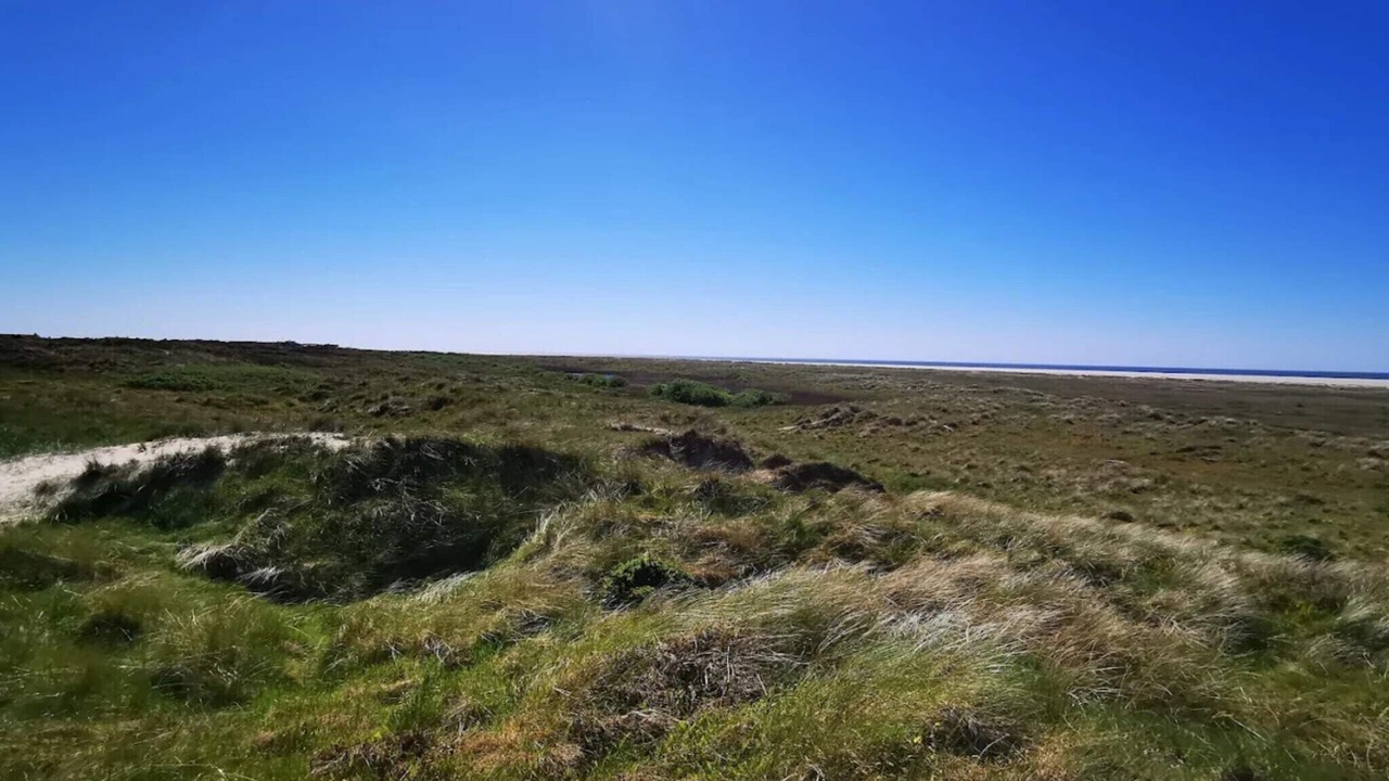 Photo of Others in Rindby Strand