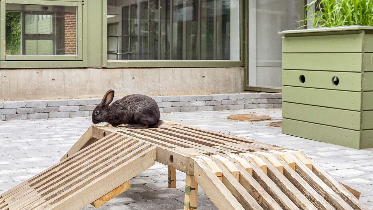 Photo of Bedroom in Hanstholm