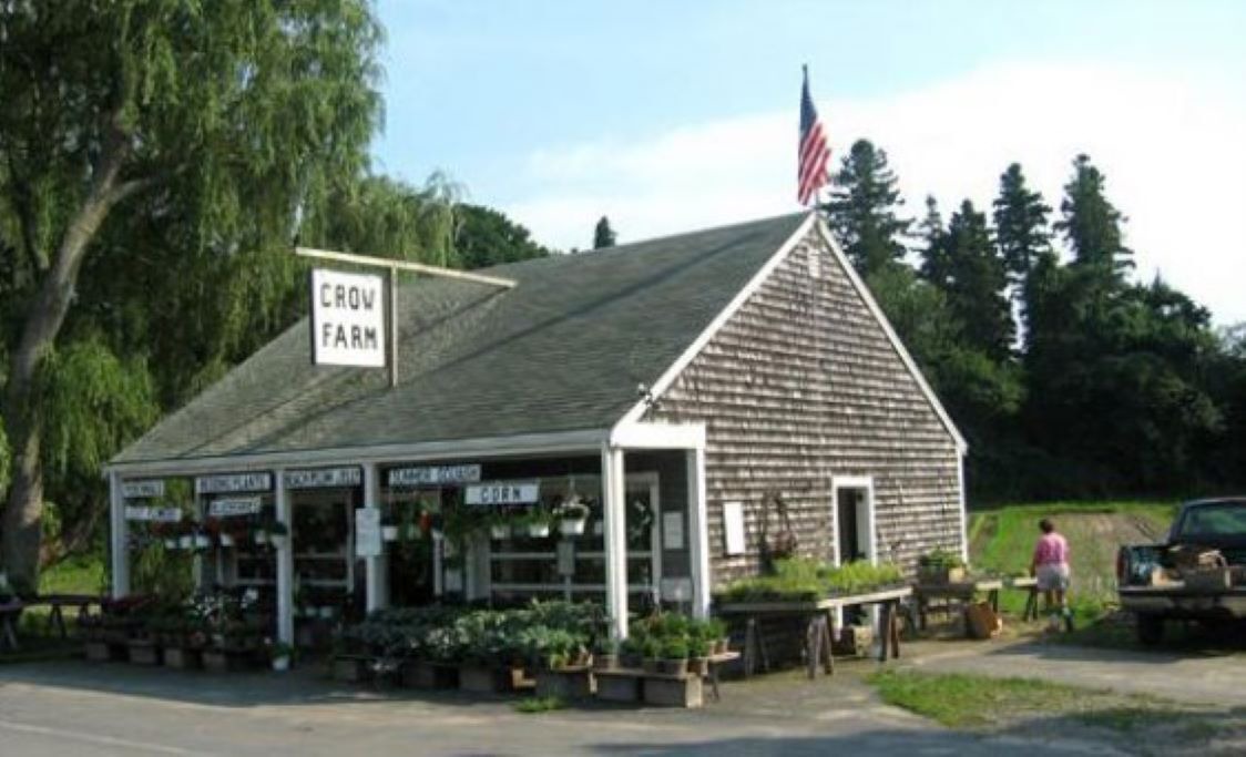 Photo of Others in Mashpee