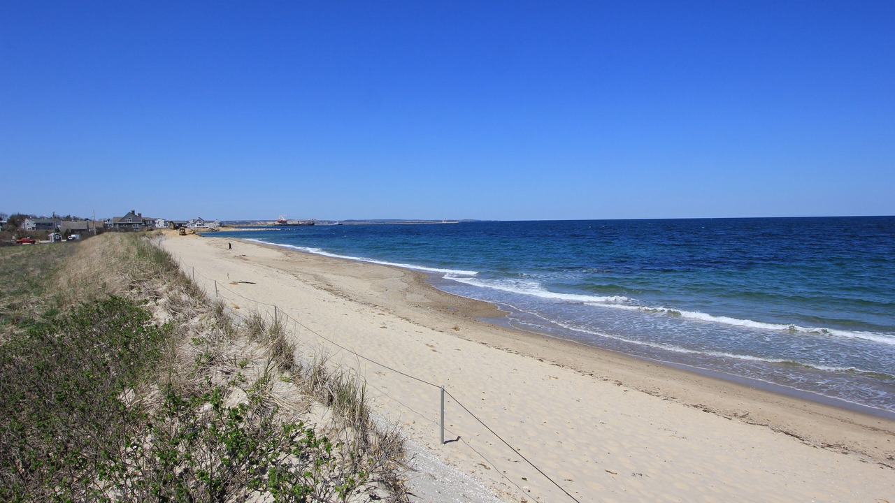 Photo of Others in Mashpee