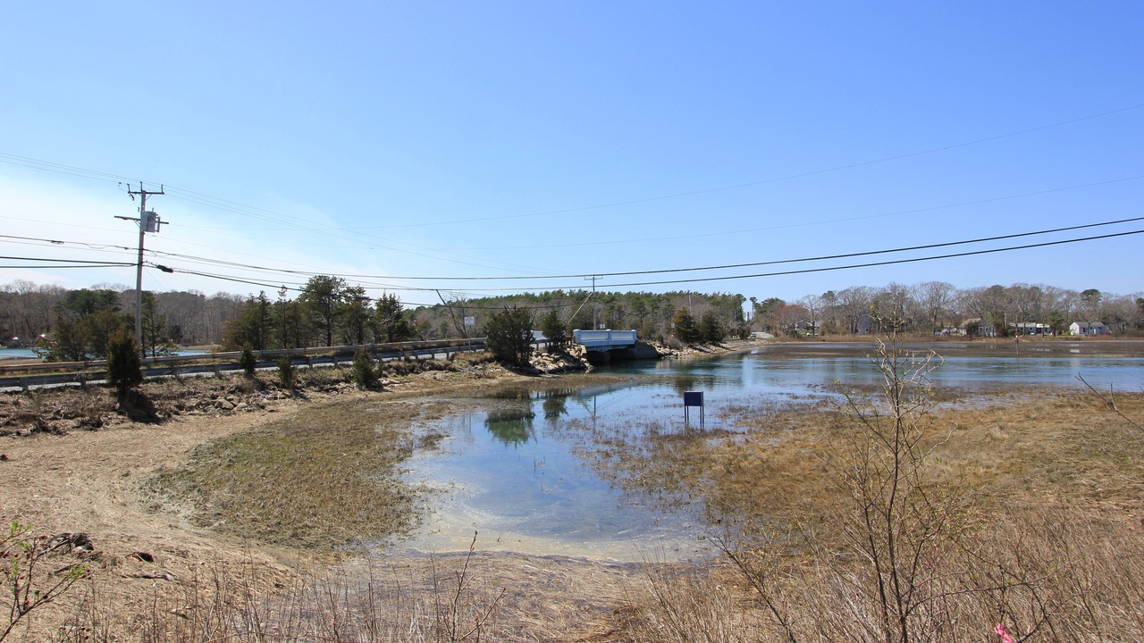 Photo of Others in Mashpee