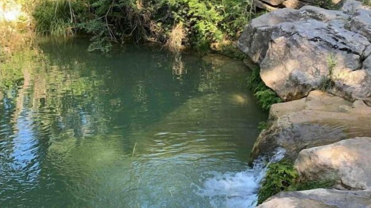 Photo of Others in Quartier des Espesses