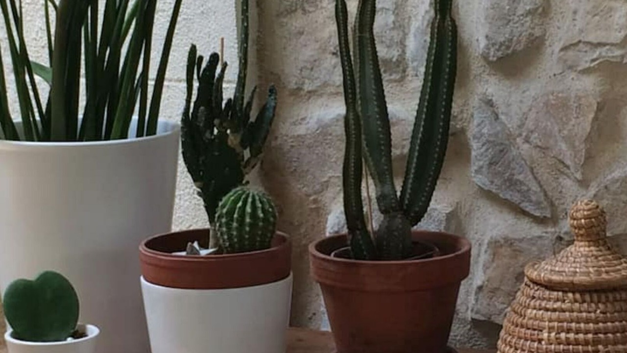 Photo of Others in Quartier des Espesses