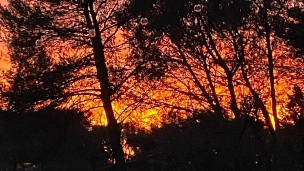 Photo of Others in Quartier des Espesses