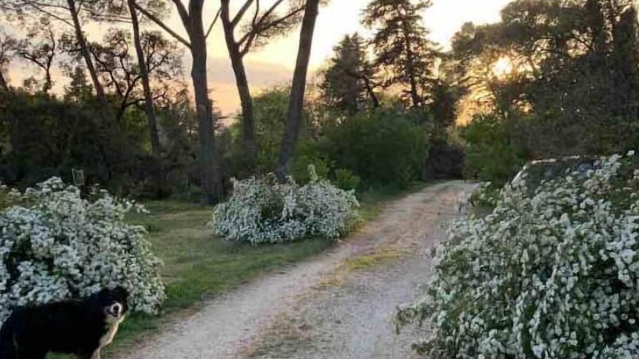 Photo of Outdoor in Quartier des Espesses