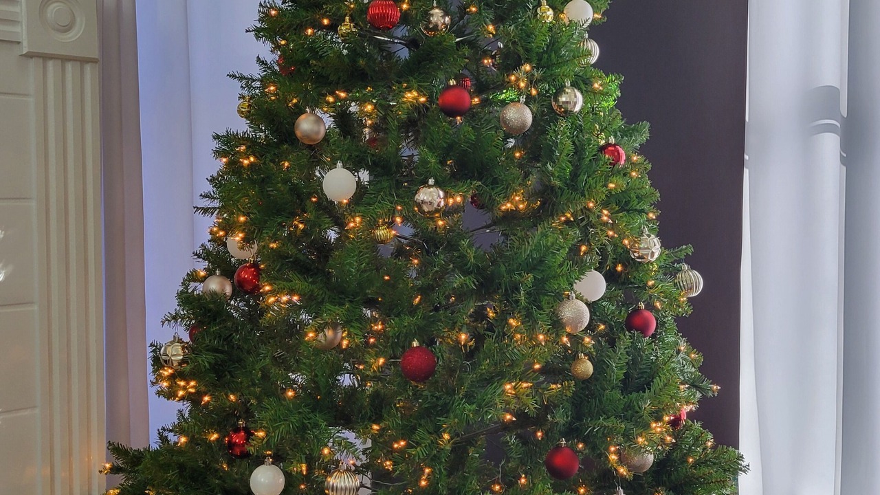 Photo of Others in Strasburg