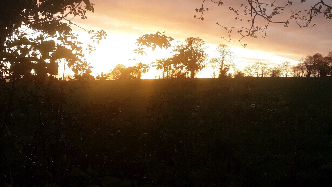 Photo of Others in Colombiers-du-Plessis
